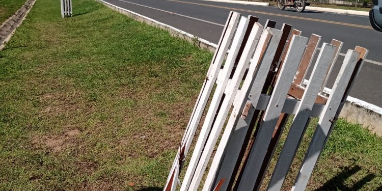 Vândalos danificam estrutura de proteção do projeto de arborização urbana