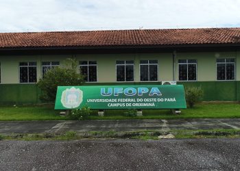 Ufopa abre concurso para docentes em seis campi