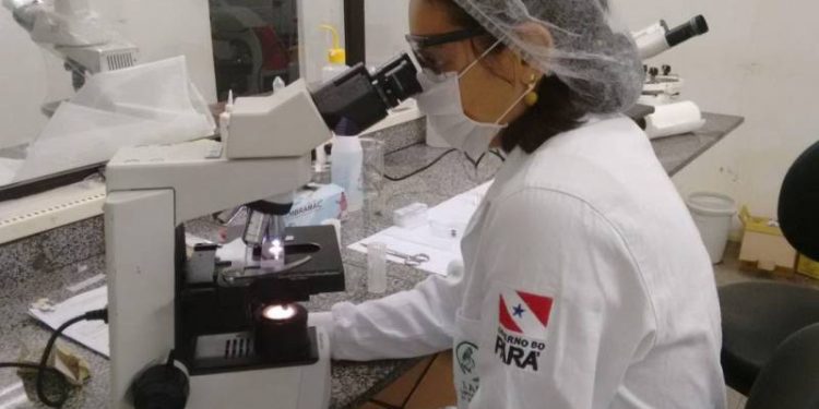 Boletim Epidemiológico de monitoramento dos casos de Dengue e Chikungunya, registra 7 casos em Óbidos