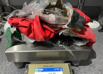 Polícia federal prende duas pessoas por tráfico de drogas, em Óbidos
