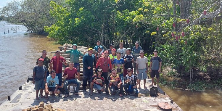 Devotos fazem retirada da aninga para confecção de barquinhas do Círio em Oriximiná