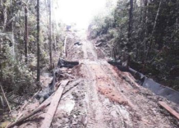 MPPA ajuíza Ação Civil Pública contra as empresas Equatorial Energia, Elecnor do Brasil e Escavabem Construções por danos ambientais