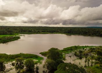 Em Juruti, Alcoa fortalece o desenvolvimento sustentável e a proteção do bioma amazônico
