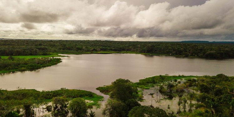 Em Juruti, Alcoa fortalece o desenvolvimento sustentável e a proteção do bioma amazônico