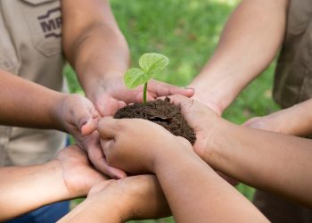 MRN lança Relatório de Sustentabilidade
