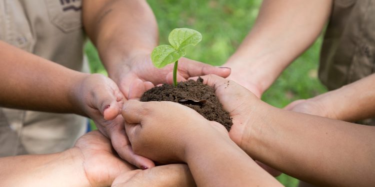 MRN lança Relatório de Sustentabilidade