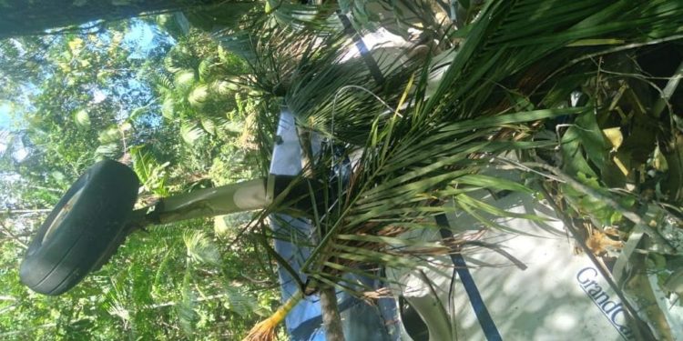Morre piloto de avião após pouso forçado em Oriximiná, no PA; passageiros sobreviveram