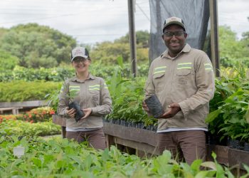 Pela quarta vez, MRN conquista Selo Ouro do Programa Brasileiro GHG Protocol