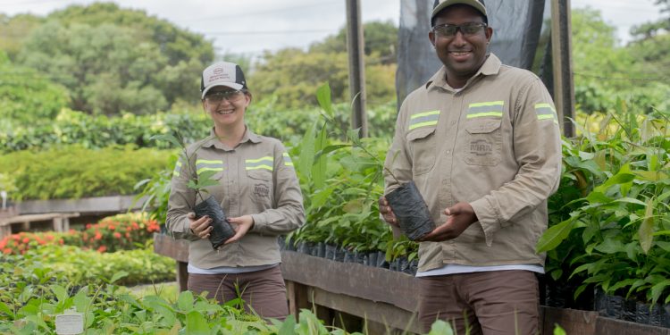 Pela quarta vez, MRN conquista Selo Ouro do Programa Brasileiro GHG Protocol