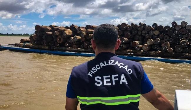 Sefa apreende 126,6m³ de madeira em tora durante fiscalização em Óbidos