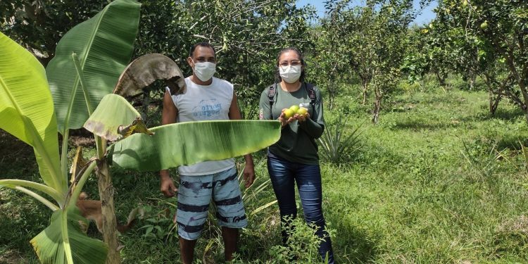 Projeto incentiva geração de renda e equilíbrio ambiental em Oriximiná