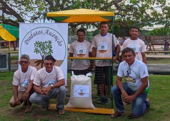 Projeto de agricultura familiar estimula empreendedorismo em comunidade de Oriximiná