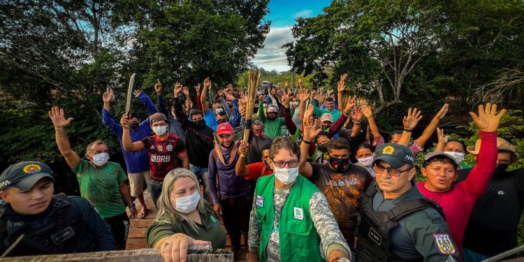Abertura da safra da castanha-do-pará gera renda para extrativistas