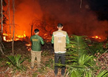 Óbidos intensifica combate às queimadas na zona urbana