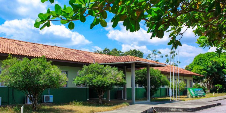 Ufopa vai oferecer Bacharelado em Ciência de Dados e Inteligência Artificial em Oriximiná a partir de 2026