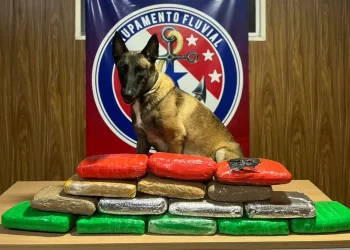 Mais de 16 kg de drogas são apreendidos em fiscalização da Base Candiru em Óbidos