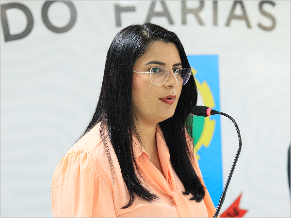 Vereadora Mônica Franco solicita reparo de pontes para evitar acidentes e prejuízos