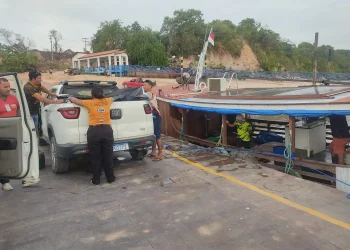 Fiscalização apreende mais de 13 toneladas de pescado irregular no Baixo Amazonas