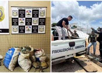 Apetrechos de pesca apreendidos com suspeitos de crime ambiental — Foto: Polícia Civil / Divulgação