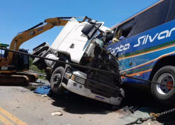 Caminhão colidiu com ônibus na BR-116, em Pelotas — Foto: Reprodução/g1 RS