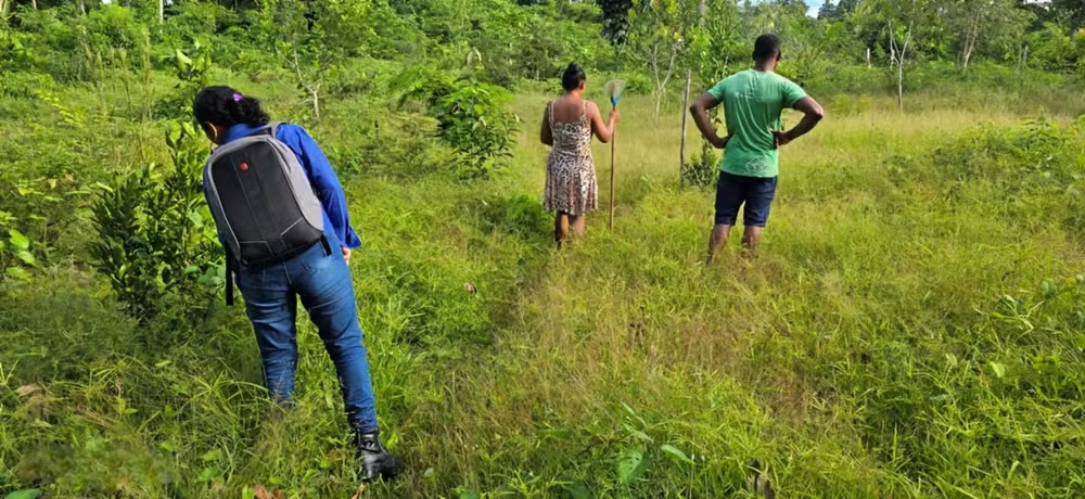 Produção de alimentos ganha qualidade com organização comunitária — Foto: Ascom Imaflora/Divulgação