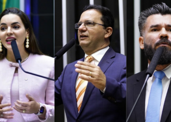 Alessandra Haber, Júnior Ferrari e Delegado Caveira lideram votação entre deputados federais eleitos em Oriximiná